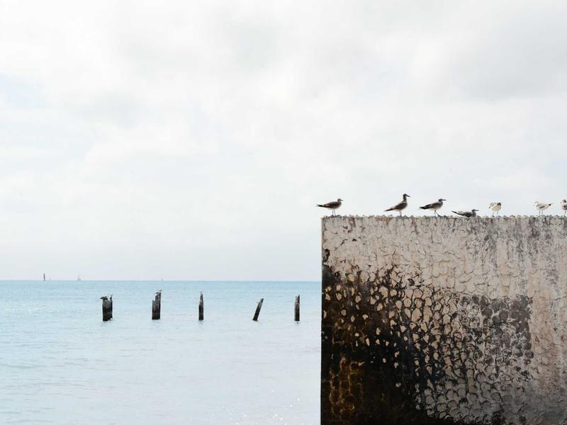 Masa depan industri otomotif dan kendaraan listrik di indonesia